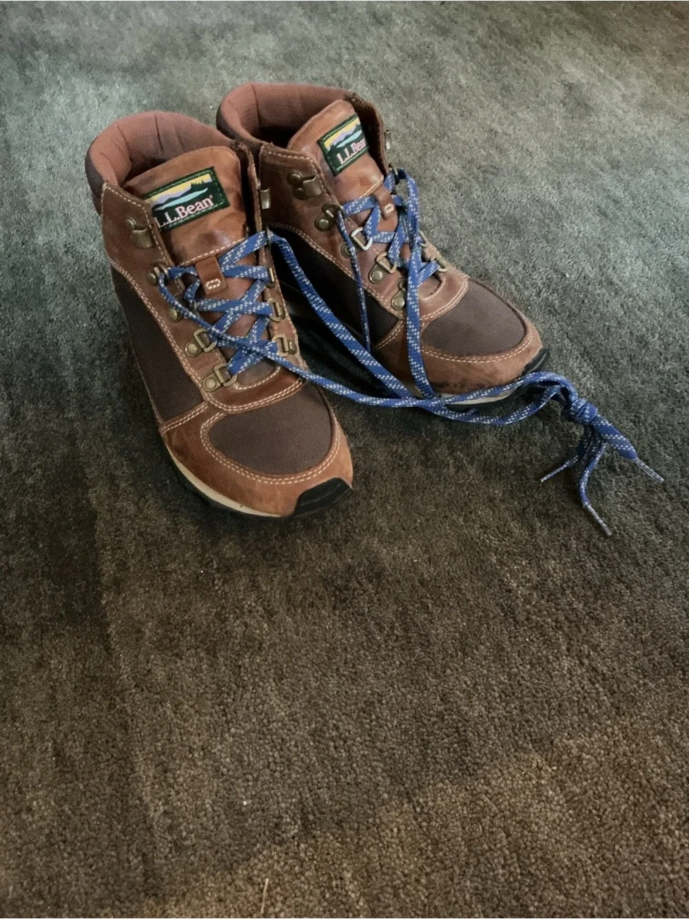 L.L. Bean Men's Brown and Blue Lace-Up Hiking Boots